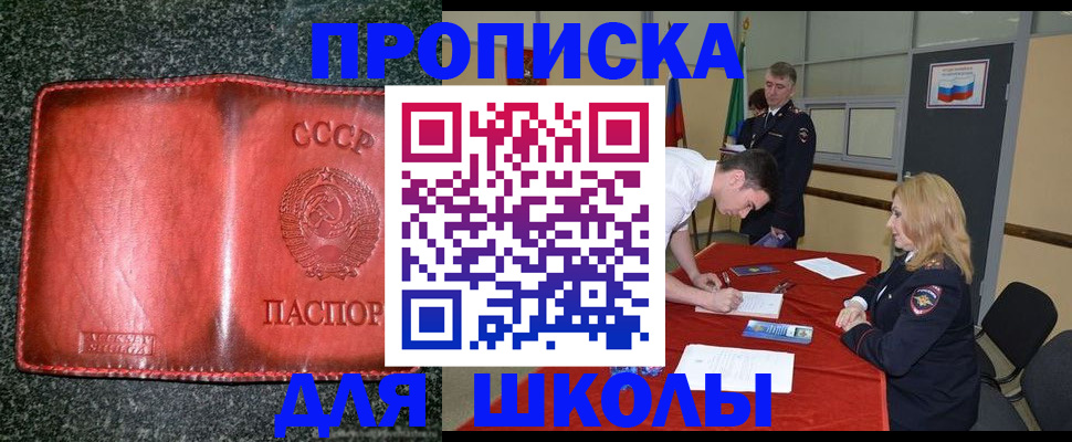 прописка в квартире в Снежногорске